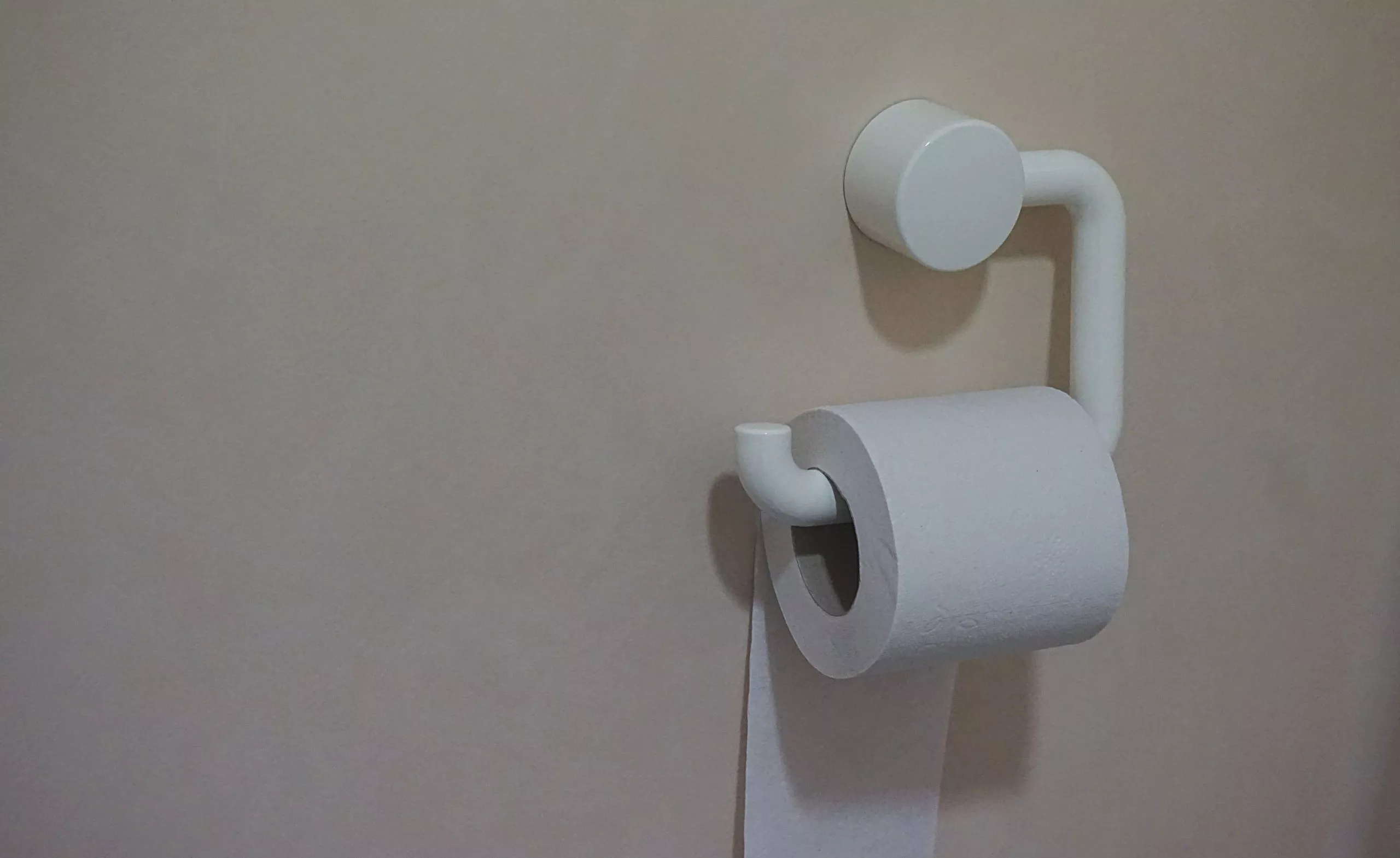Autism toilet training