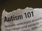 autism schools