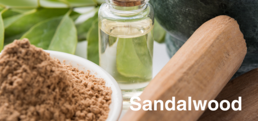 Sandalwood Essential Oil