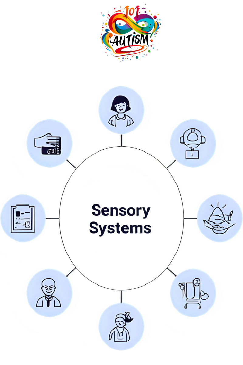The 8 Sensory Systems - Visual representation Circular layout with 8 sections, each representing a sensory system