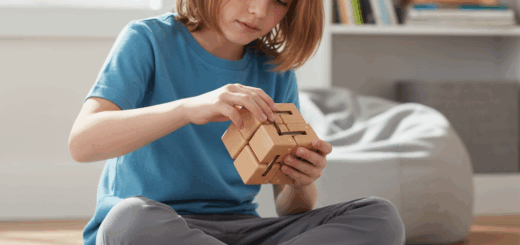 BunMo Wooden Fidget Cube Review